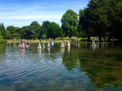 Park remote controlled boats sailing