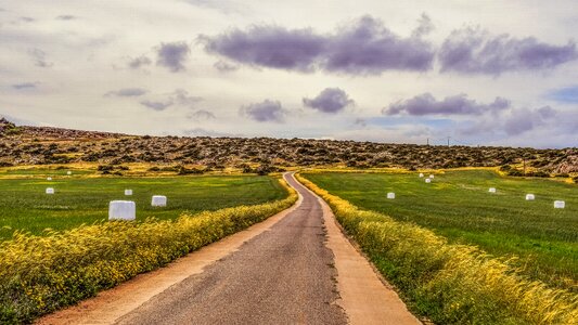 Fields landscape scenery