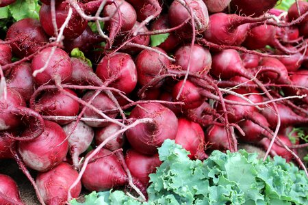 Red food garden