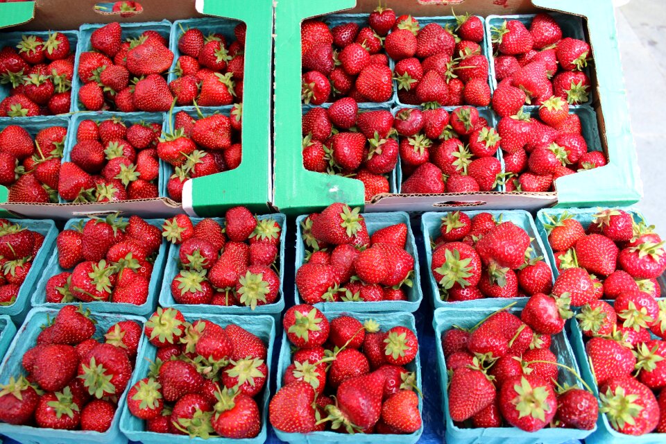Tasty farmers market raw