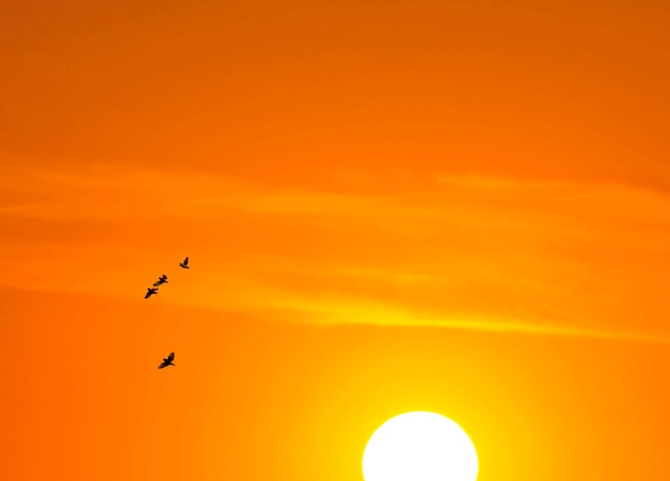 Landscape sky beach photo