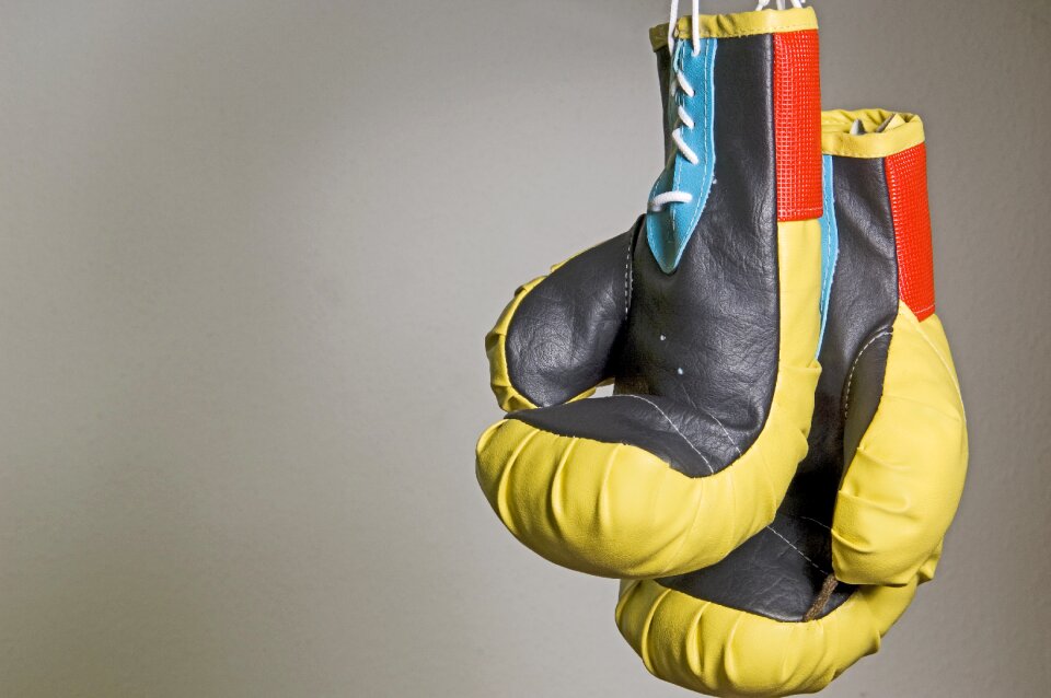 Boxing gloves hanging sport