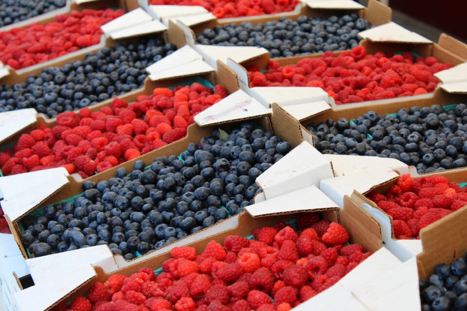 Fresh fruit healthy