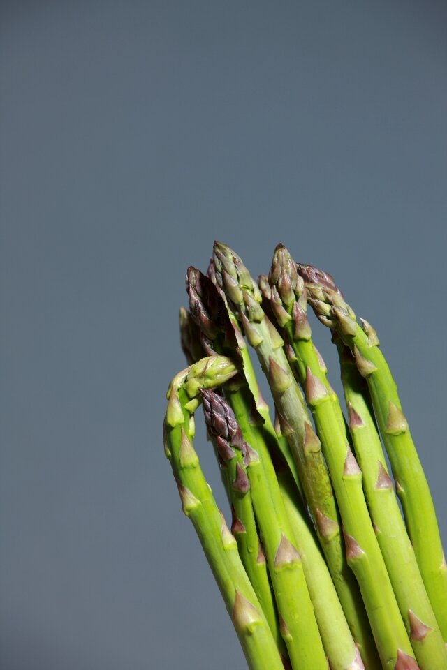 Eat healthy plant