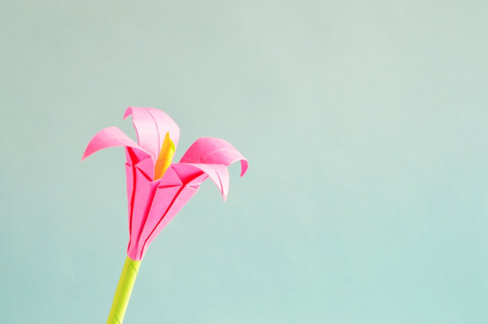 Isolated decoration small