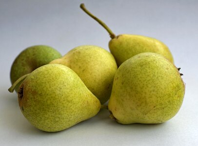 Fresh food healthy