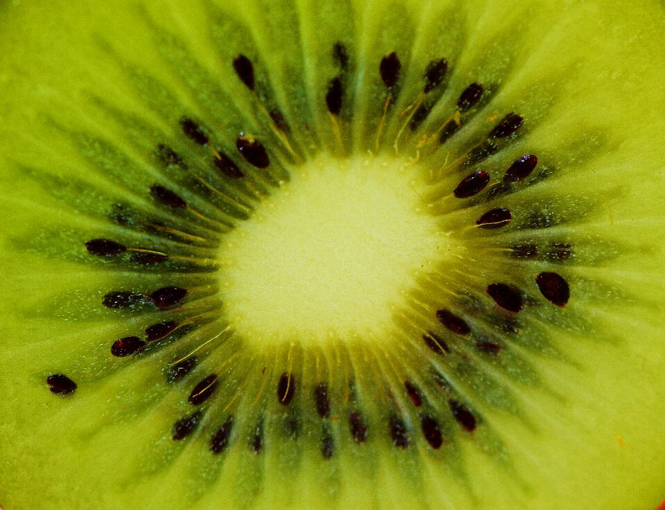Vitamins food green