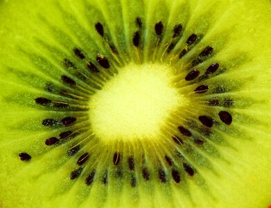 Vitamins food green