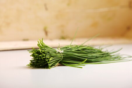 Plant food eat