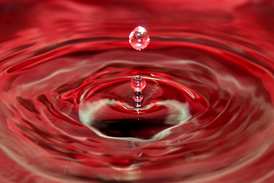 Wet macro close up