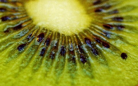 Vitamins food green