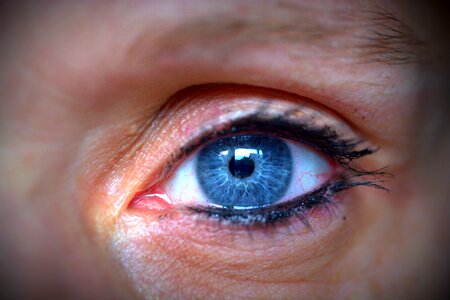Eyelashes black eye view