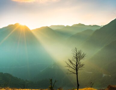 Nature green sol