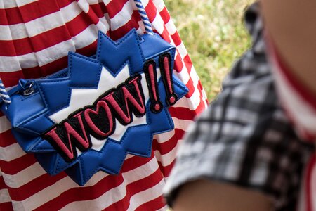 American comic purse