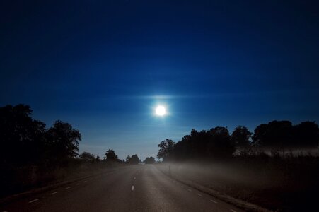 Night road forest