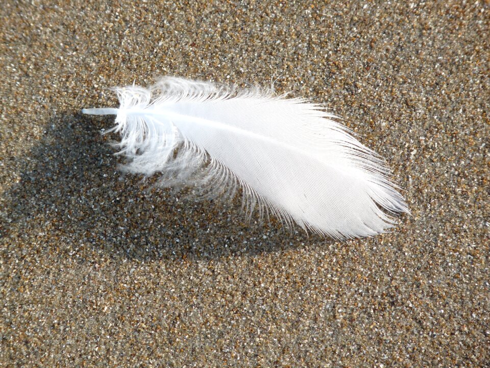 Feather ease featherweight