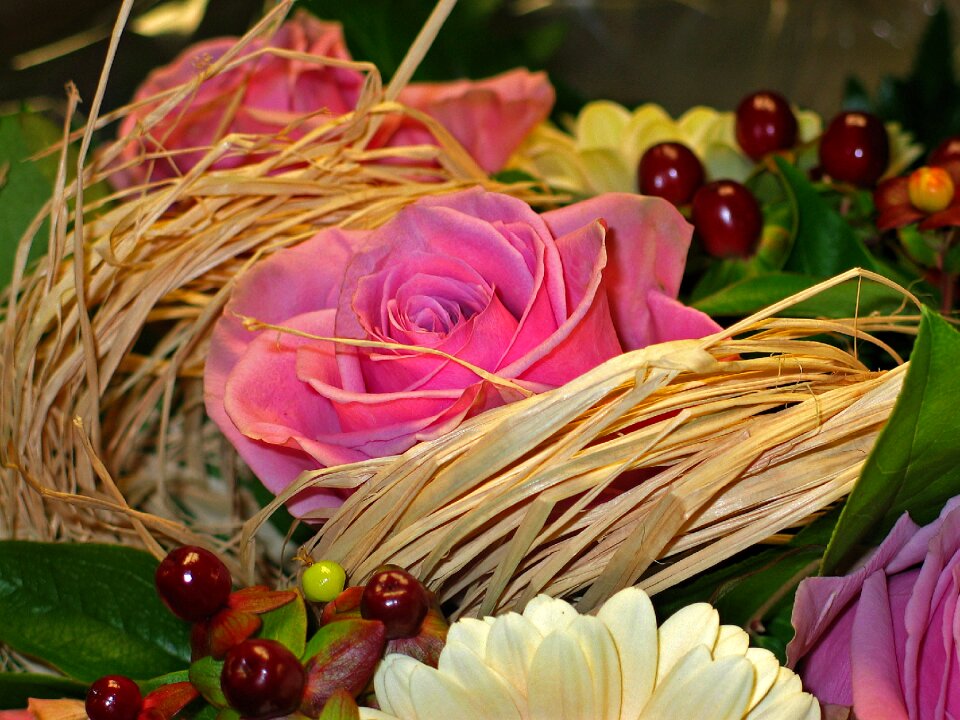 Roses pink vase photo