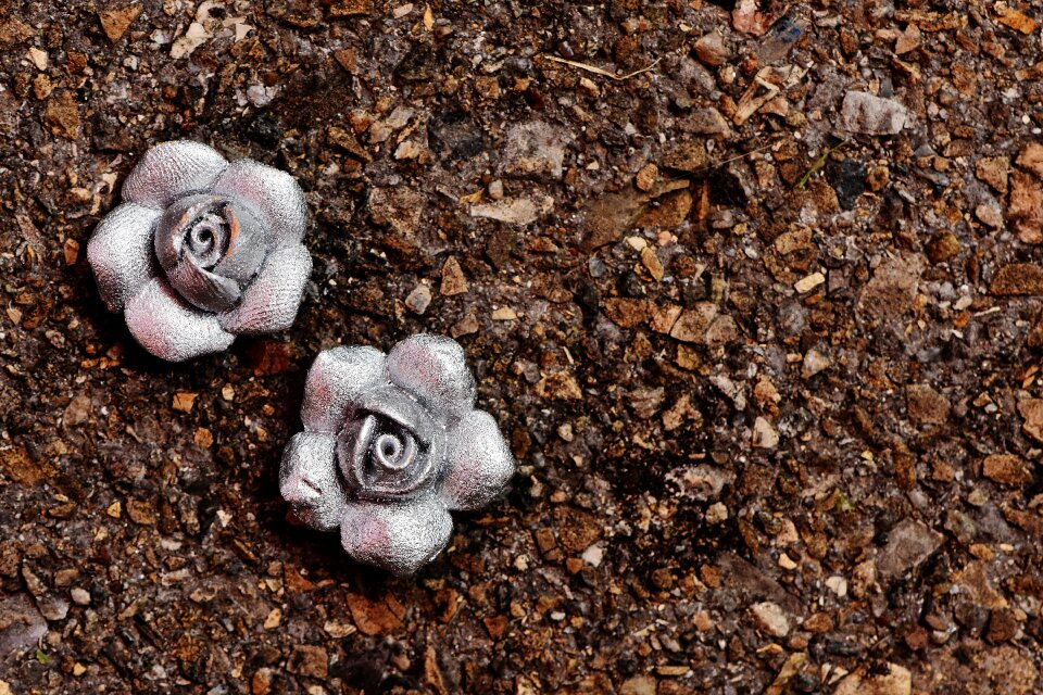 Silver flowers beautiful