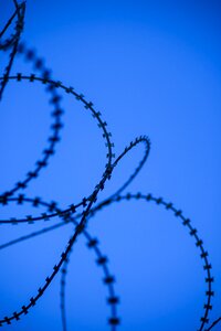 Barricade barbed wire sharp photo