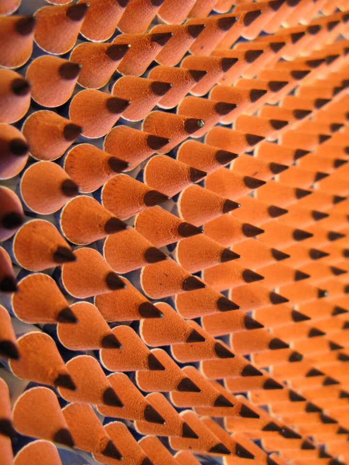Repetition collection quality