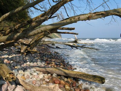 Baltic sea sea cliff photo