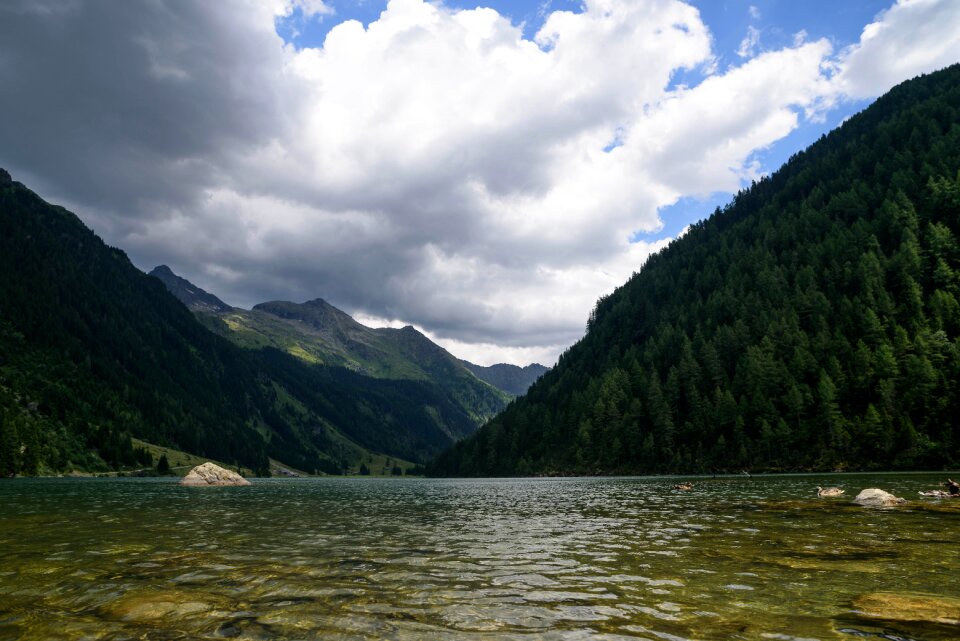 Water forest sky photo