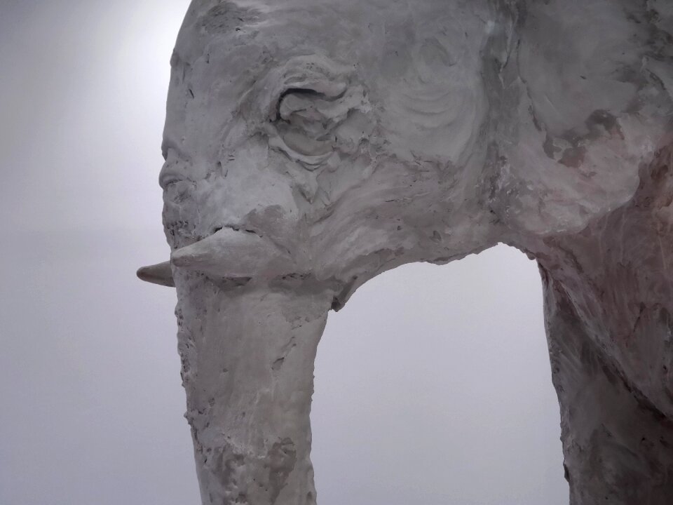 White clay gray elephant