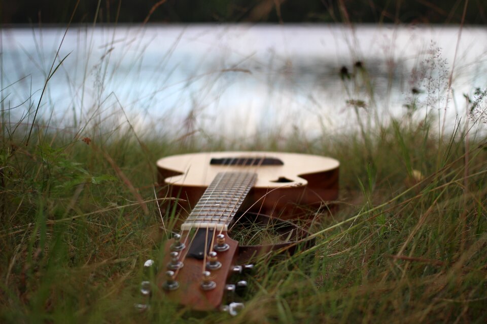 Tacoma wp strings grass