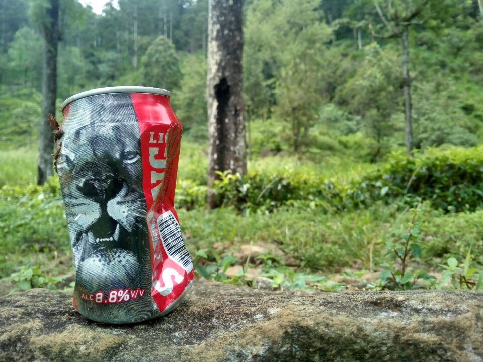 Nature's fun life