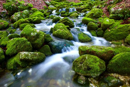 Rock nature stream