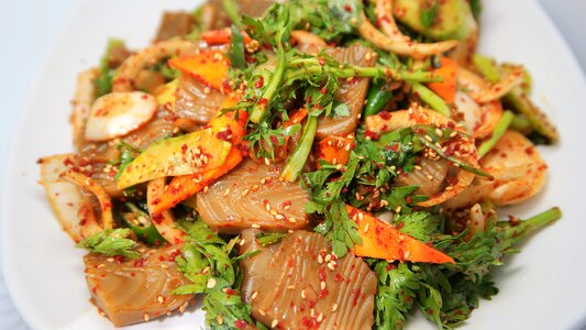 Dotorimuk acorn korean food