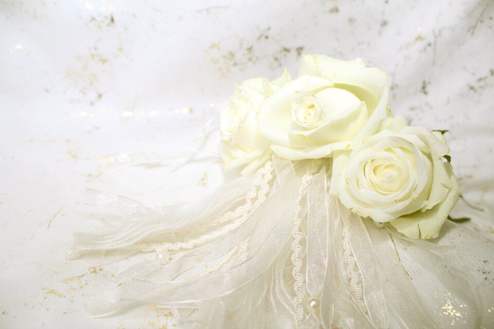 Bloom background wedding