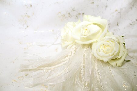 Bloom background wedding
