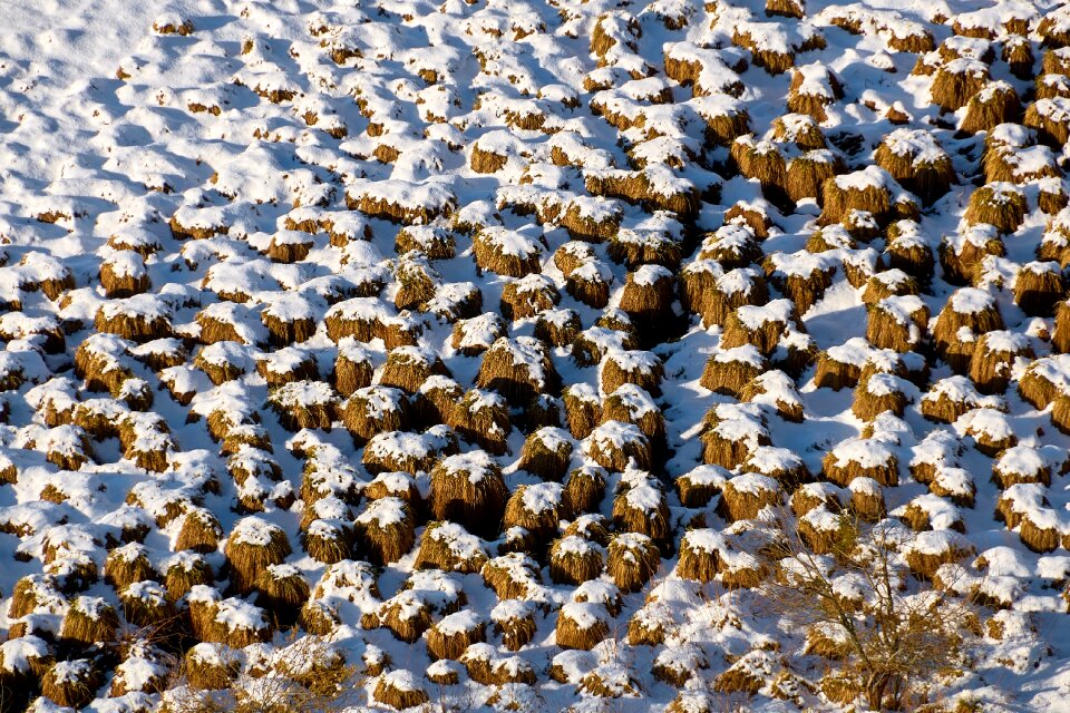 Winter ground frozen