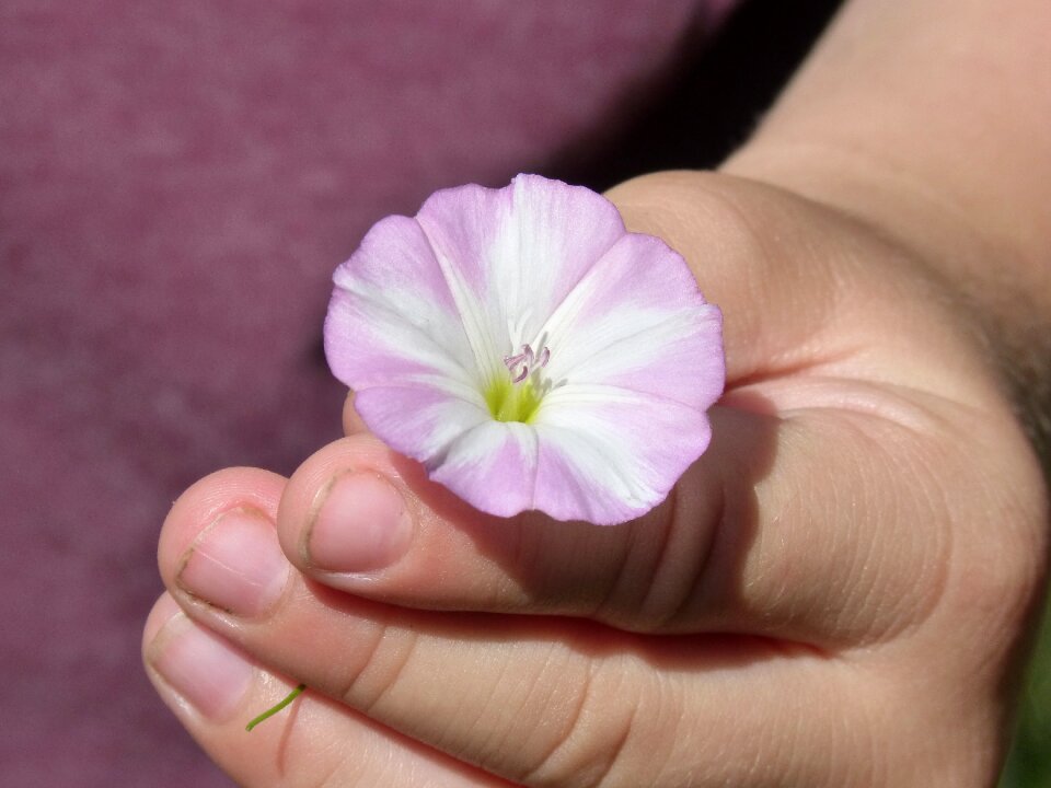 Hand child tenderness