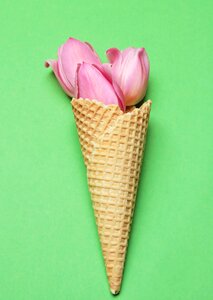 Ice cream cone waffle yellow photo