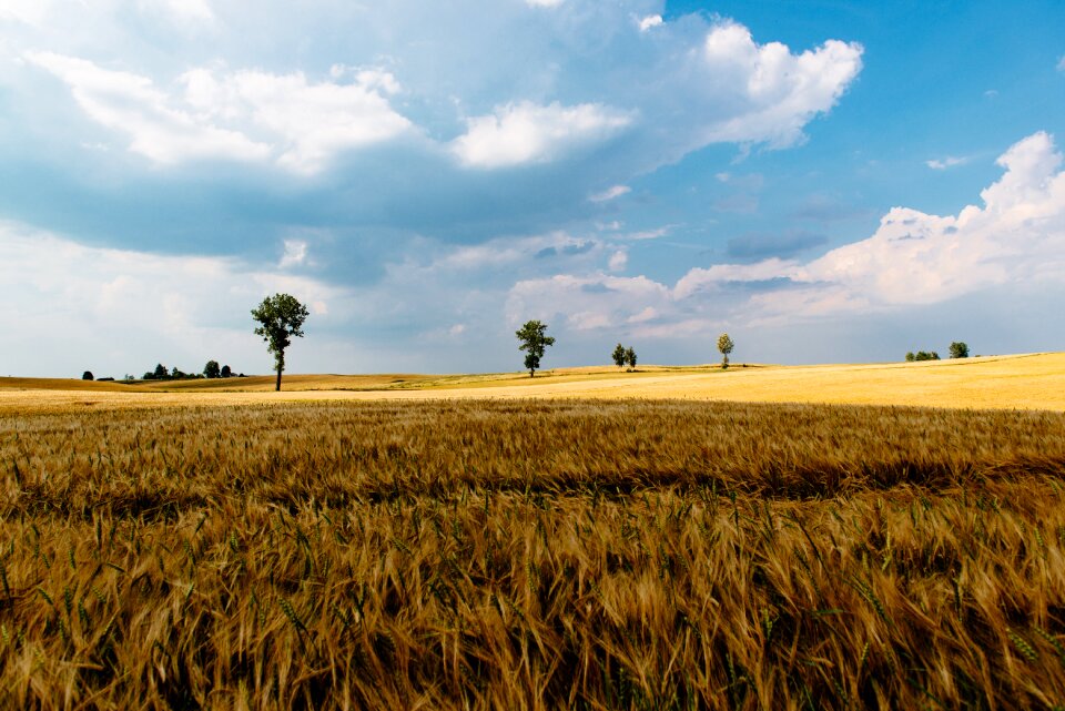 Landscape nature sky