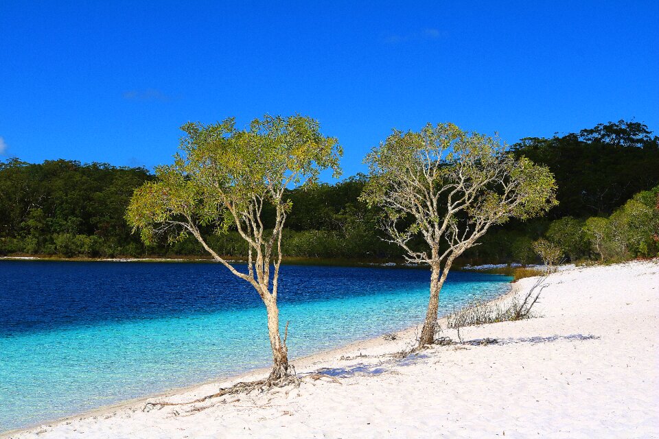 Trees beautiful beaches sun
