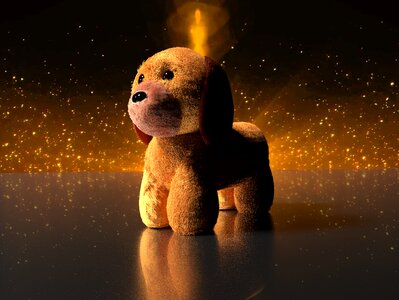 Brown puppy loyal