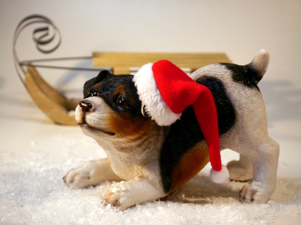 Slide christmas time christmas dog