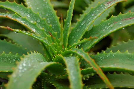 Medicine heal health