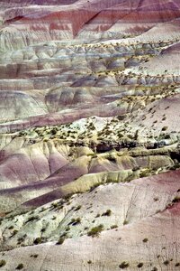 Desert arizona landscape