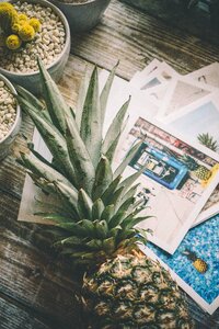 Table flat lay succulents photo