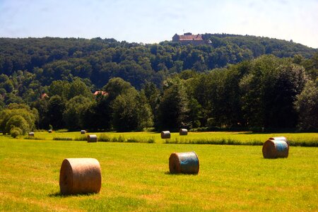 Hay bales round bales meadow