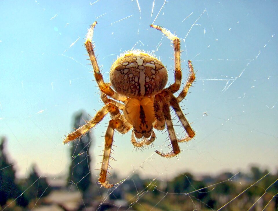 Wildlife fear scary