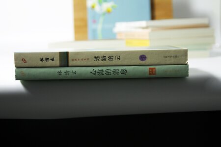 Book chinese literature chinese character
