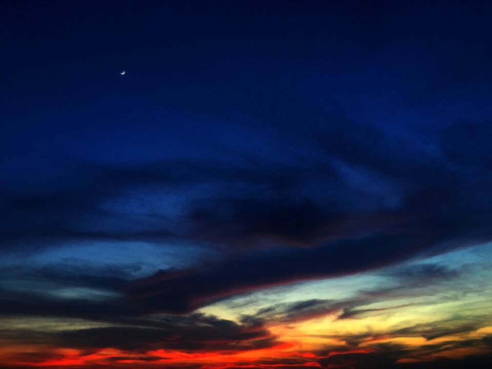 Sunset nishishita tired bird returning home