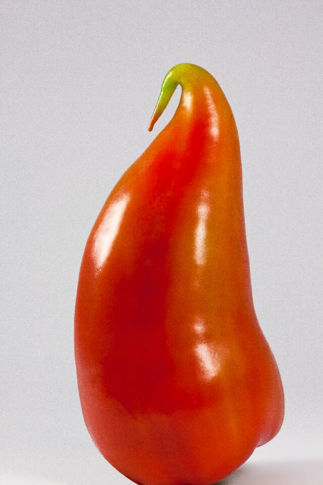 Sculpture pointed pepper orange