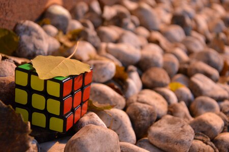 Small fresh rubik's cube still life