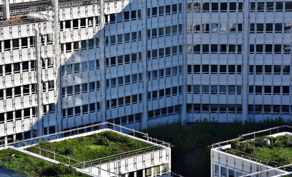 Architecture facade building